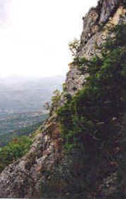 foto: F.Ferreri