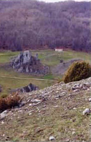foto: F.Ferreri
