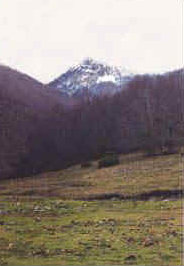 foto: F.Ferreri