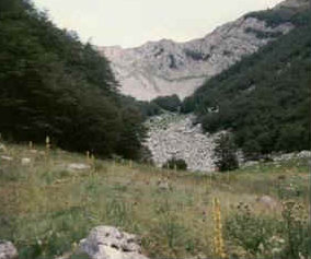 foto: F.De Angelis