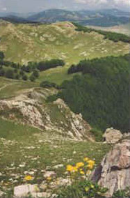 foto: F.Ferreri