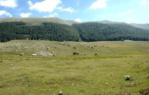 foto: F.Ferreri