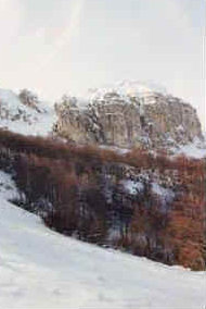 foto: F.Ferreri