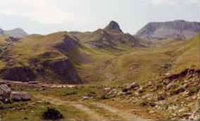 foto: F.Ferreri