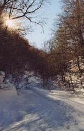 foto: F.Ferreri