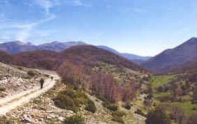 foto: F.Ferreri