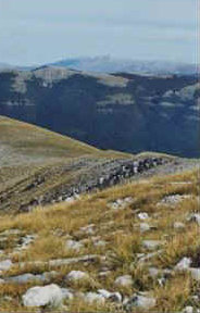foto: F.Ferreri