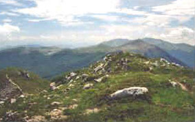 foto: F.Ferreri