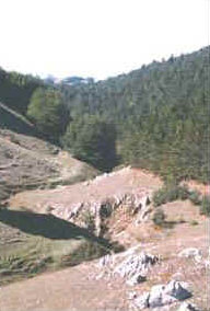 foto: F.Ferreri