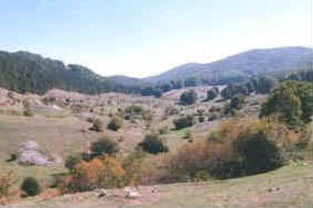 foto: F.Ferreri